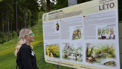 Výhodné rodinné jízdné na kabinkové lanovce v Mariánkách