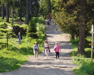 Nature trail Lázeňské lesy